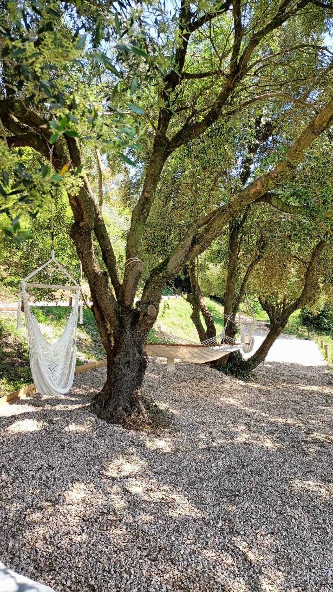 Tuffudesu Experience (Adults Only) Bed & Breakfast Osilo Eksteriør bilde